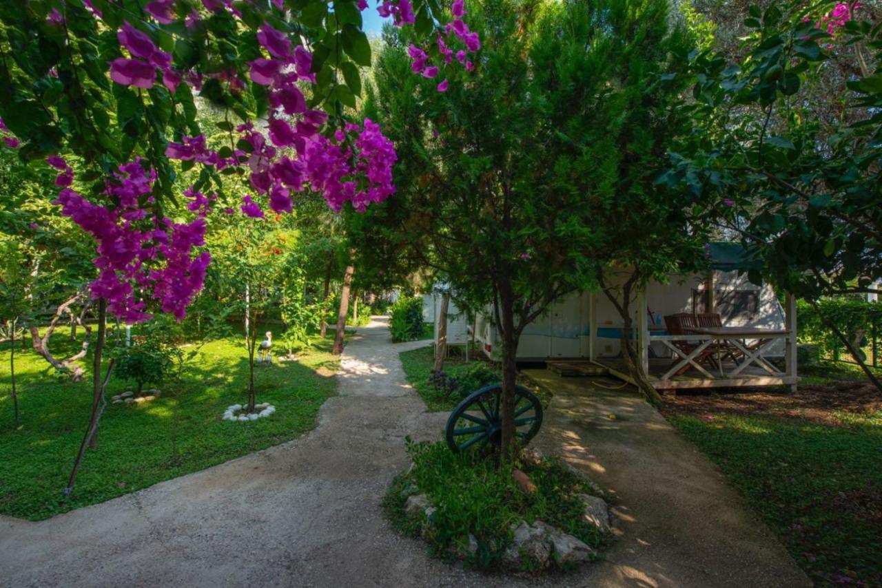 S3 Seahorse Club Hotel Ölüdeniz